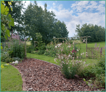afbeelding tuin met planten en schutting