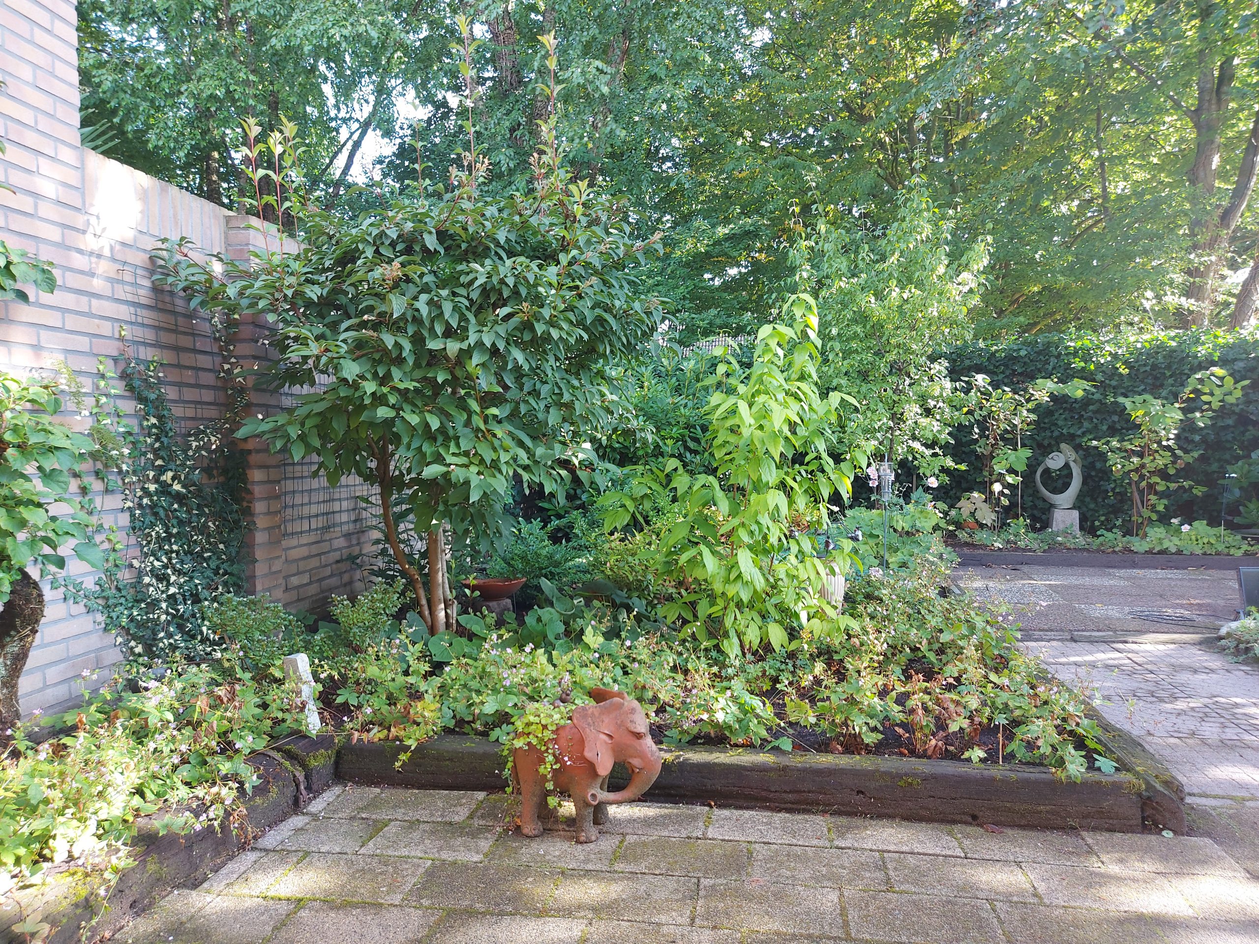 afbeelding van muur met bloemen